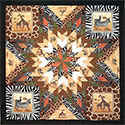 Safari Lone Star Quilt class
